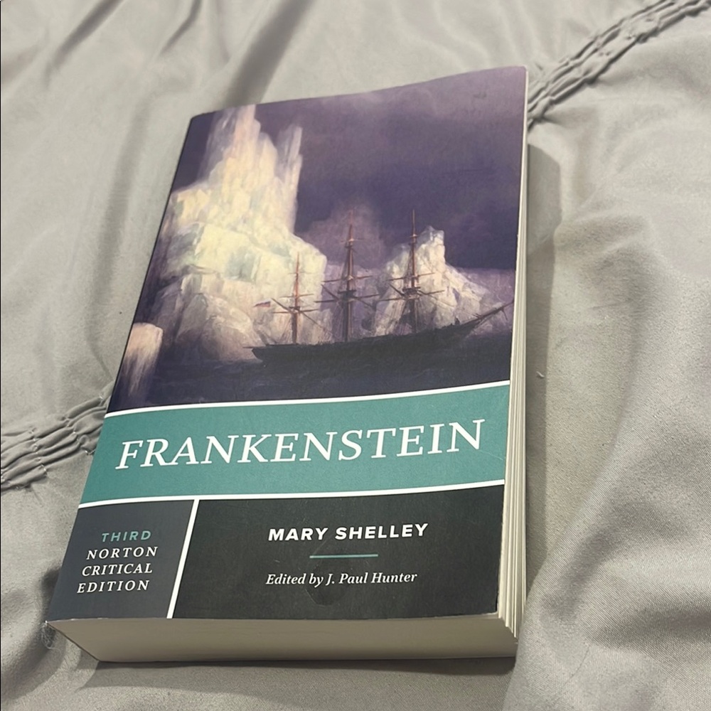 Frankenstein Book - Third Norton Critical Edition